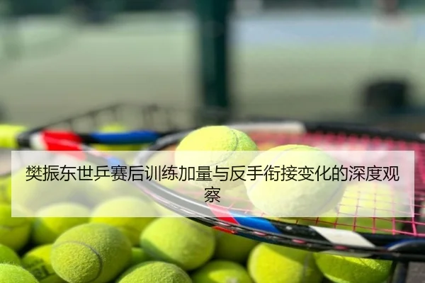 樊振东世乒赛后训练加量与反手衔接变化的深度观察