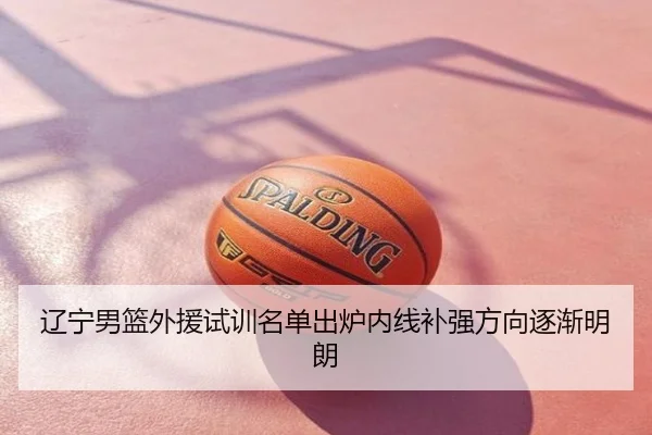 辽宁男篮外援试训名单出炉内线补强方向逐渐明朗