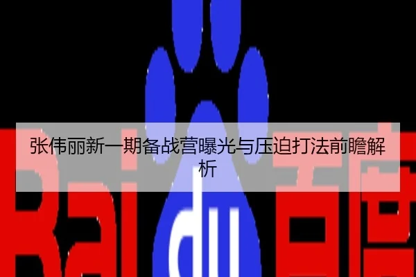 张伟丽新一期备战营曝光与压迫打法前瞻解析